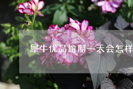 犀牛优品逾期一天会怎样 犀牛优品逾期一天会怎样