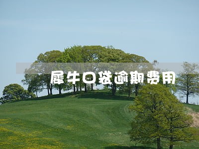 犀牛口袋逾期费用 犀牛口袋逾期费用