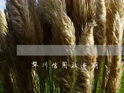 犁川信用社逾期