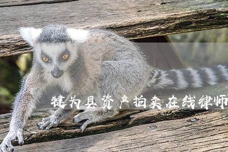 犍为县资产拍卖在线律师 犍为县资产拍卖在线律师