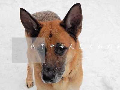 犯了中华人民共和国刑法第八十条
