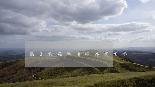 犯了包庇罪请律师有用吗 犯了包庇罪请律师有用吗
