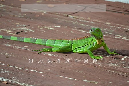 犯人保外就医条件 犯人保外就医条件
