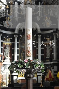 犯人保外就医需要什么手续