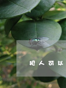 犯人可以在法院讲话吗 犯人可以在法院讲话吗