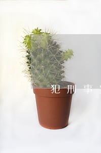 犯刑事案件贷款逾期 犯刑事案件贷款逾期