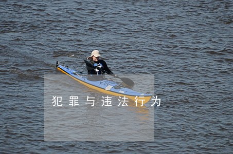 犯罪与违法行为 犯罪与违法行为