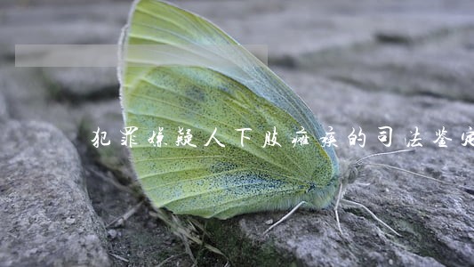 犯罪嫌疑人下肢瘫痪的司法鉴定 犯罪嫌疑人下肢瘫痪的司法鉴定