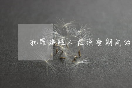 犯罪嫌疑人在侦查期间的诉讼权利