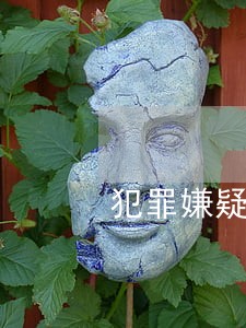 犯罪嫌疑人律师能会见吗 犯罪嫌疑人律师能会见吗