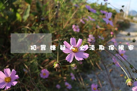 犯罪嫌疑人必须取保候审吗 犯罪嫌疑人必须取保候审吗