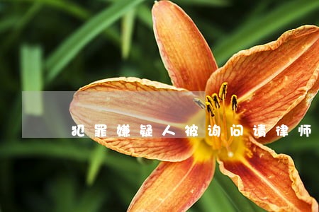犯罪嫌疑人被询问请律师 犯罪嫌疑人被询问请律师
