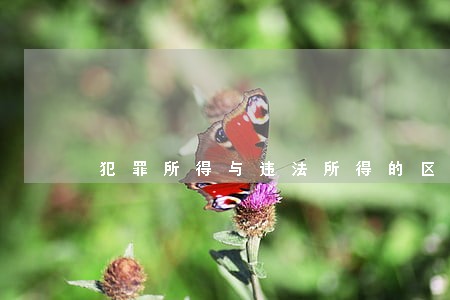 犯罪所得与违法所得的区别