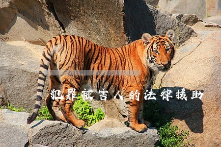犯罪被害人的法律援助 犯罪被害人的法律援助