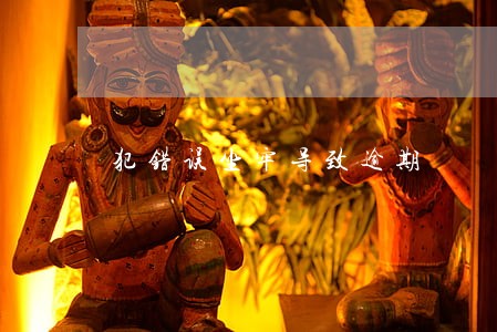 犯错误坐牢导致逾期