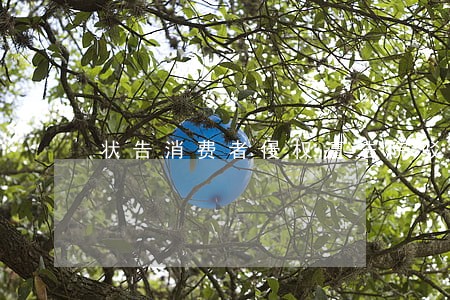 状告消费者侵权遭法院驳回 状告消费者侵权遭法院驳回