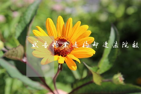 状告物业违约却遭法院驳回 状告物业违约却遭法院驳回