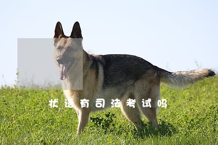 状语有司法考试吗 状语有司法考试吗