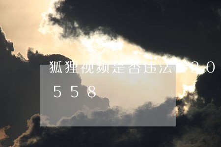 狐狸视频是否违法/2023020316558 狐狸视频是否违法/2023020316558
