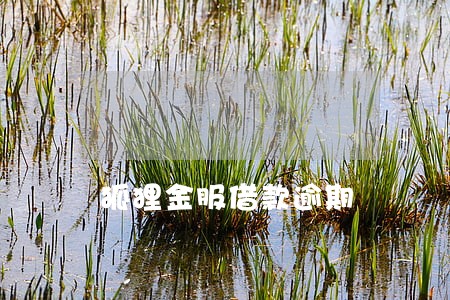 狐狸金服借款逾期 狐狸金服借款逾期
