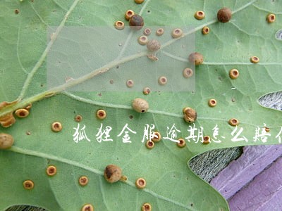 狐狸金服逾期怎么赔偿