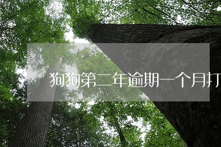 狗狗第二年逾期一个月打疫苗 狗狗第二年逾期一个月打疫苗