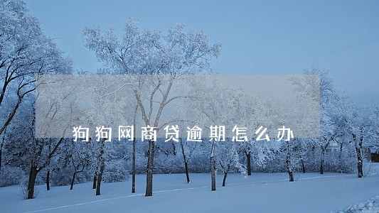 狗狗网商贷逾期怎么办 狗狗网商贷逾期怎么办