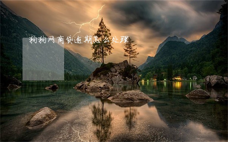 狗狗网商贷逾期怎么处理 狗狗网商贷逾期怎么处理
