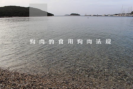 狗肉的食用狗肉法规 狗肉的食用狗肉法规