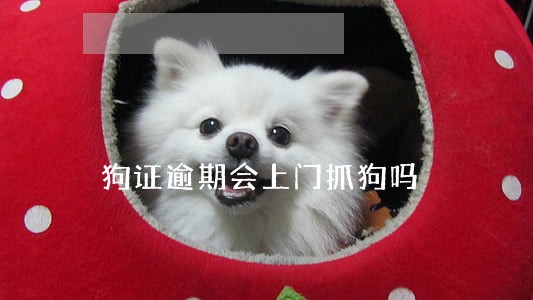 狗证逾期会上门抓狗吗 狗证逾期会上门抓狗吗
