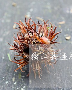 独山县违反保密协议诉讼律师 独山县违反保密协议诉讼律师