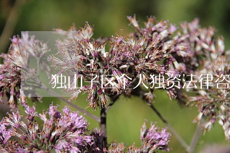 独山子区个人独资法律咨询热线