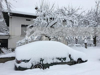 独生子女死亡扶助金法律条文 独生子女死亡扶助金法律条文