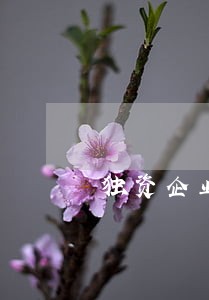 独资企业汇算清缴逾期 独资企业汇算清缴逾期