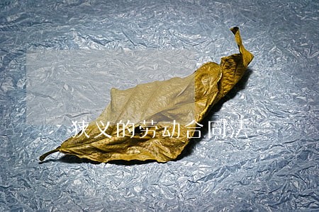 狭义的劳动合同法 狭义的劳动合同法