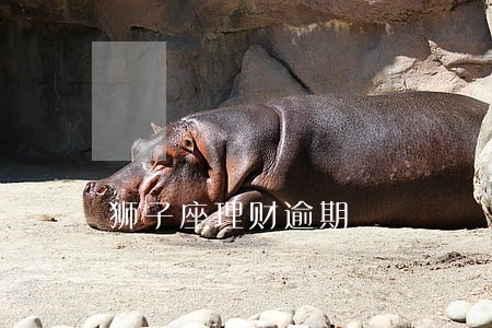 狮子座理财逾期 狮子座理财逾期
