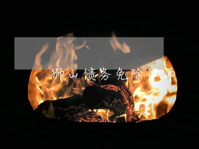 狮山债务免除律师 狮山债务免除律师