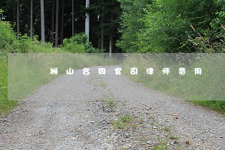狮山合同官司律师费用 狮山合同官司律师费用
