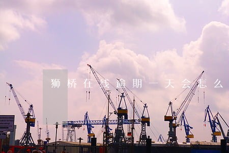 狮桥在线逾期一天会怎么样