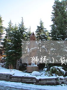 狮桥小贷逾期 狮桥小贷逾期