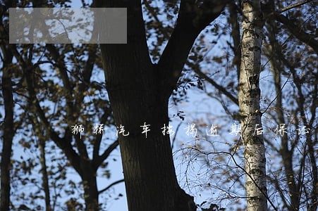狮桥汽车按揭逾期后保证金如何退