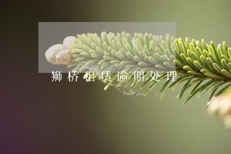 狮桥租赁逾期处理 狮桥租赁逾期处理