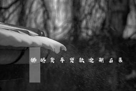 狮桥货车贷款逾期后果 狮桥货车贷款逾期后果
