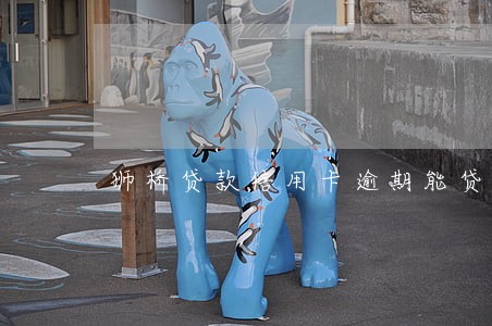 狮桥贷款信用卡逾期能贷吗