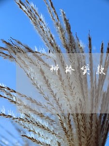 狮桥贷款逾期会拖车吗 狮桥贷款逾期会拖车吗
