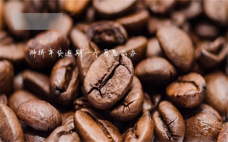 狮桥车贷逾期一个月怎么办 狮桥车贷逾期一个月怎么办
