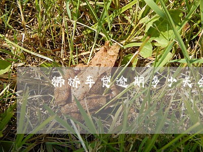 狮桥车贷逾期多少天会扣车