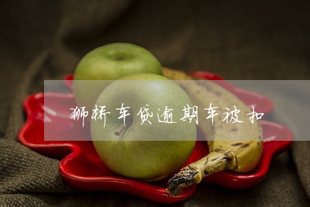 狮桥车贷逾期车被扣 狮桥车贷逾期车被扣