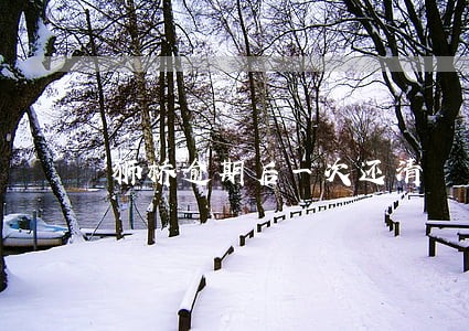 狮桥逾期后一次还清 狮桥逾期后一次还清
