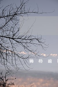 狮桥逾期多久拖车 狮桥逾期多久拖车